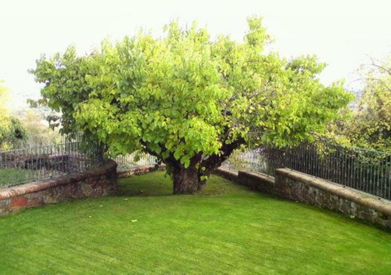 El Rasillo El Patio De La Morera المظهر الخارجي الصورة